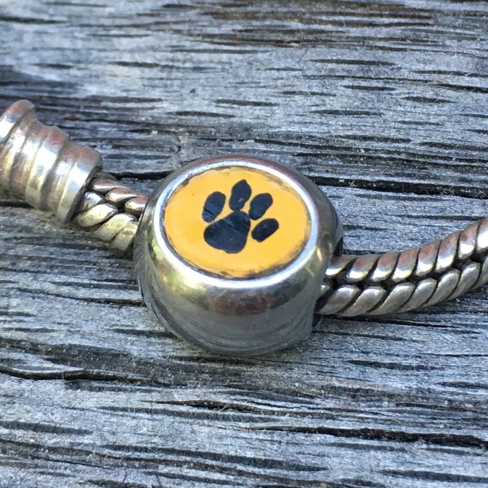 Unique Rare Pandora Paw Charm